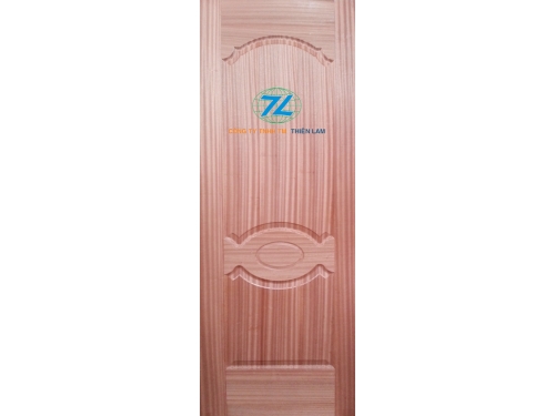 Da cửa hdf 2 panel phủ veneer sapele horizon